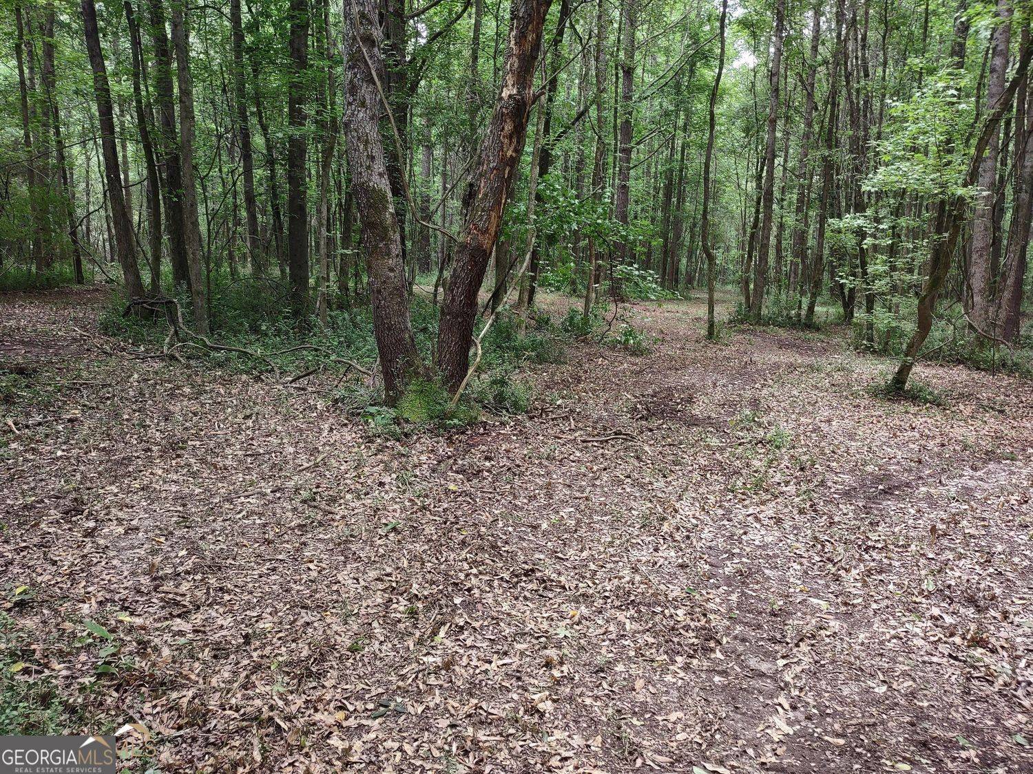 Stockbridge, GA 30281,LOT 2 Coatsworth