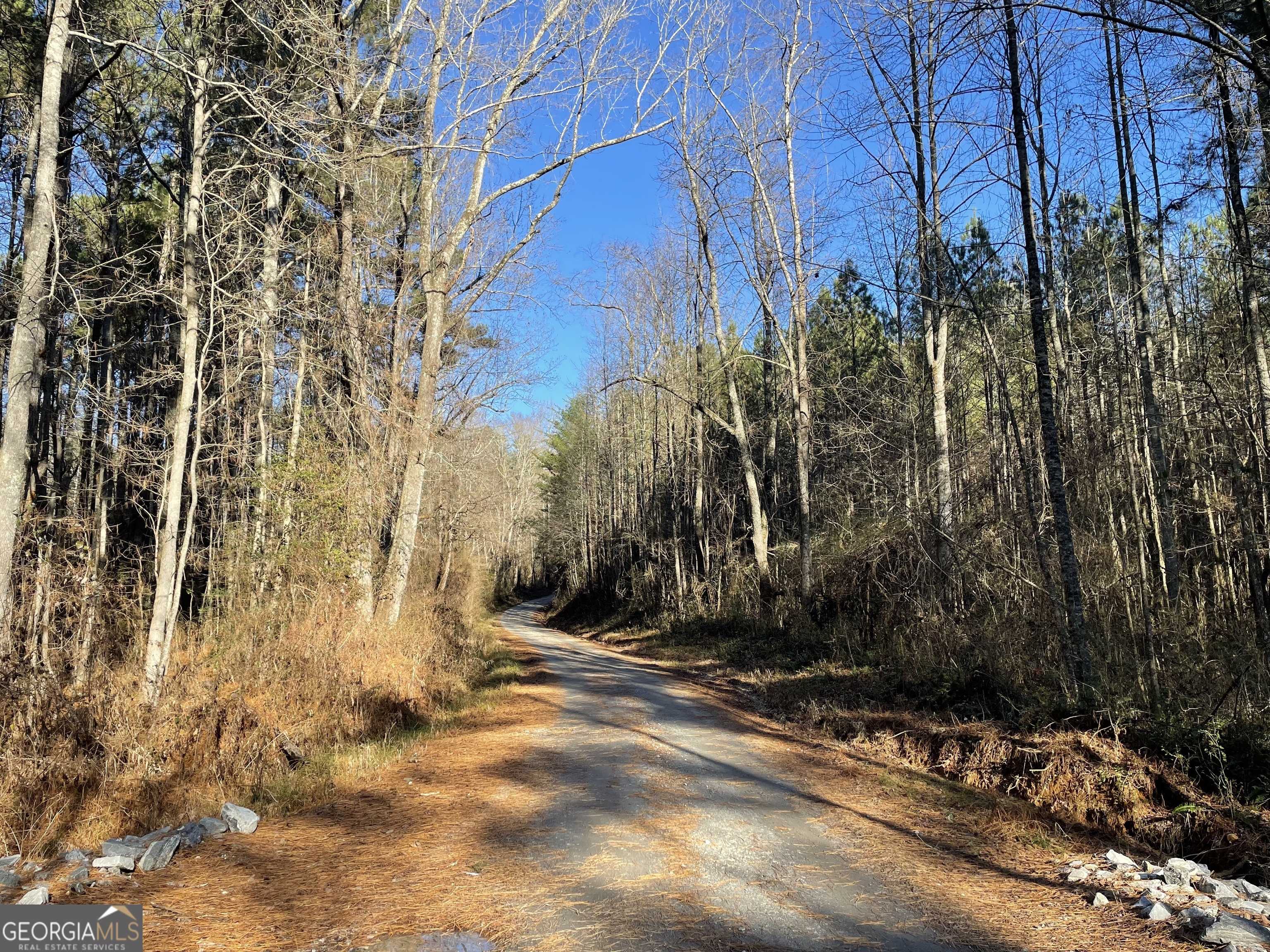 Dawsonville, GA 30534,0 Crane Road