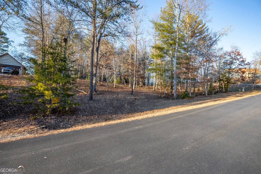 Blairsville, GA 30512,LOT 33 Gray Eagle Lane