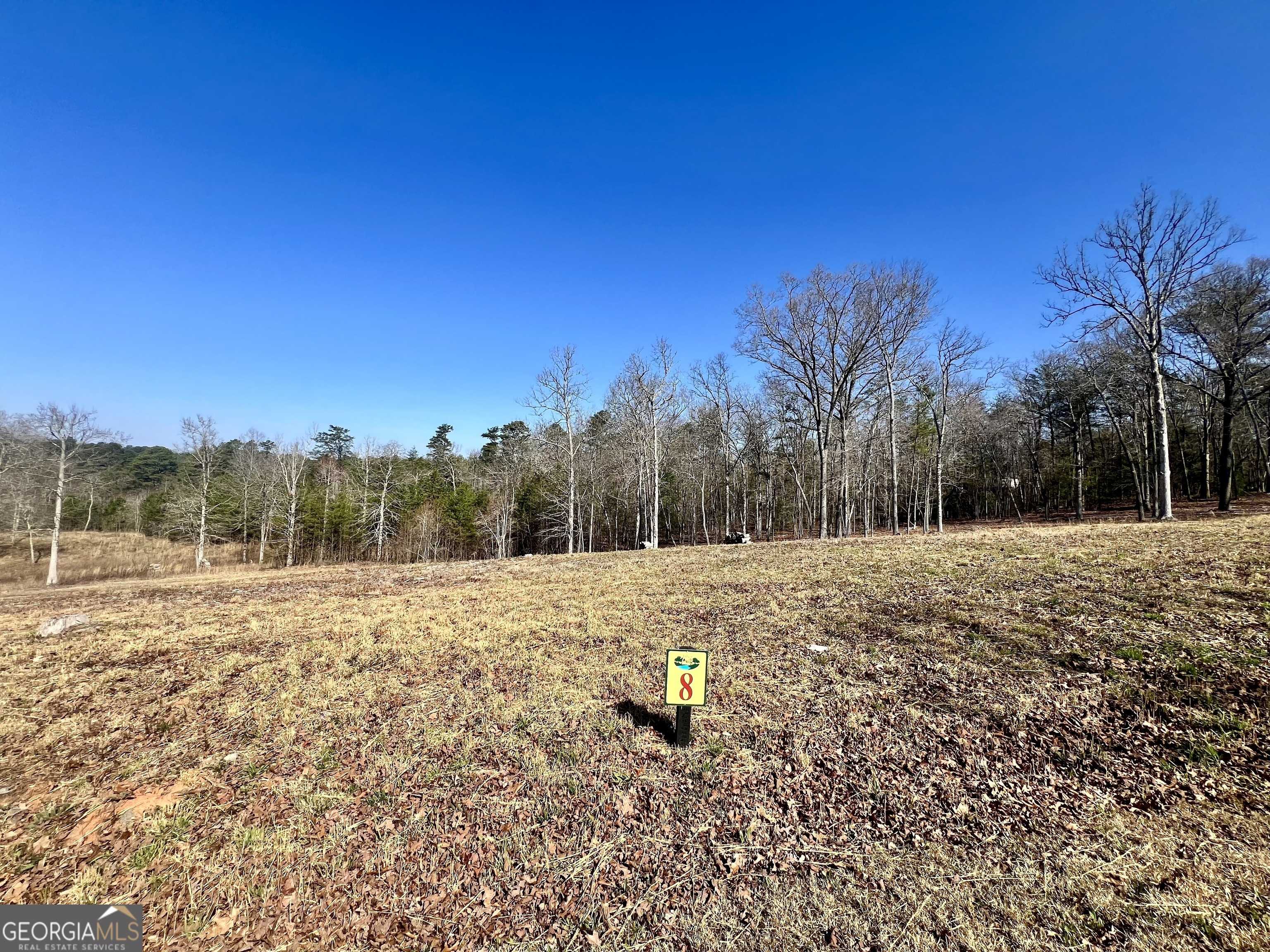 Mineral Bluff, GA 30559,8 Arbor Creek