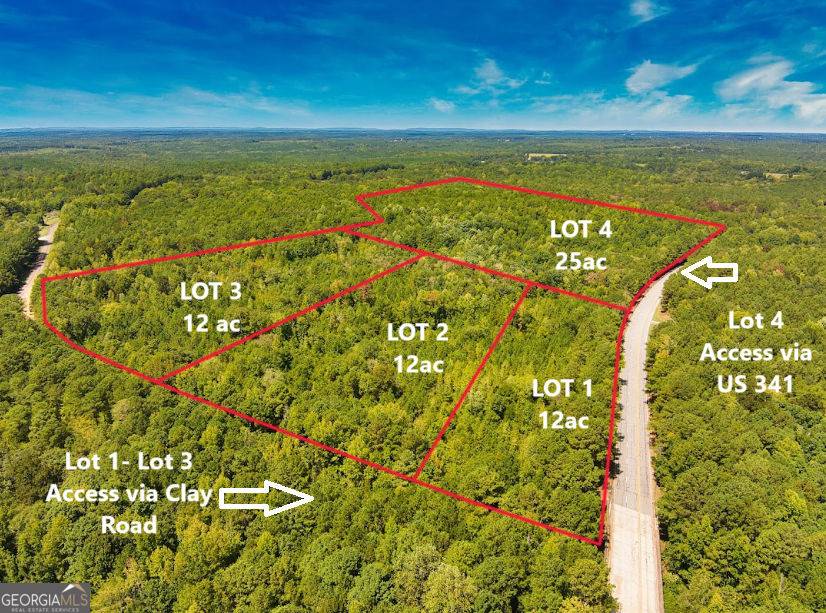 Culloden, GA 31016,TRACT1 US Highway 341 N