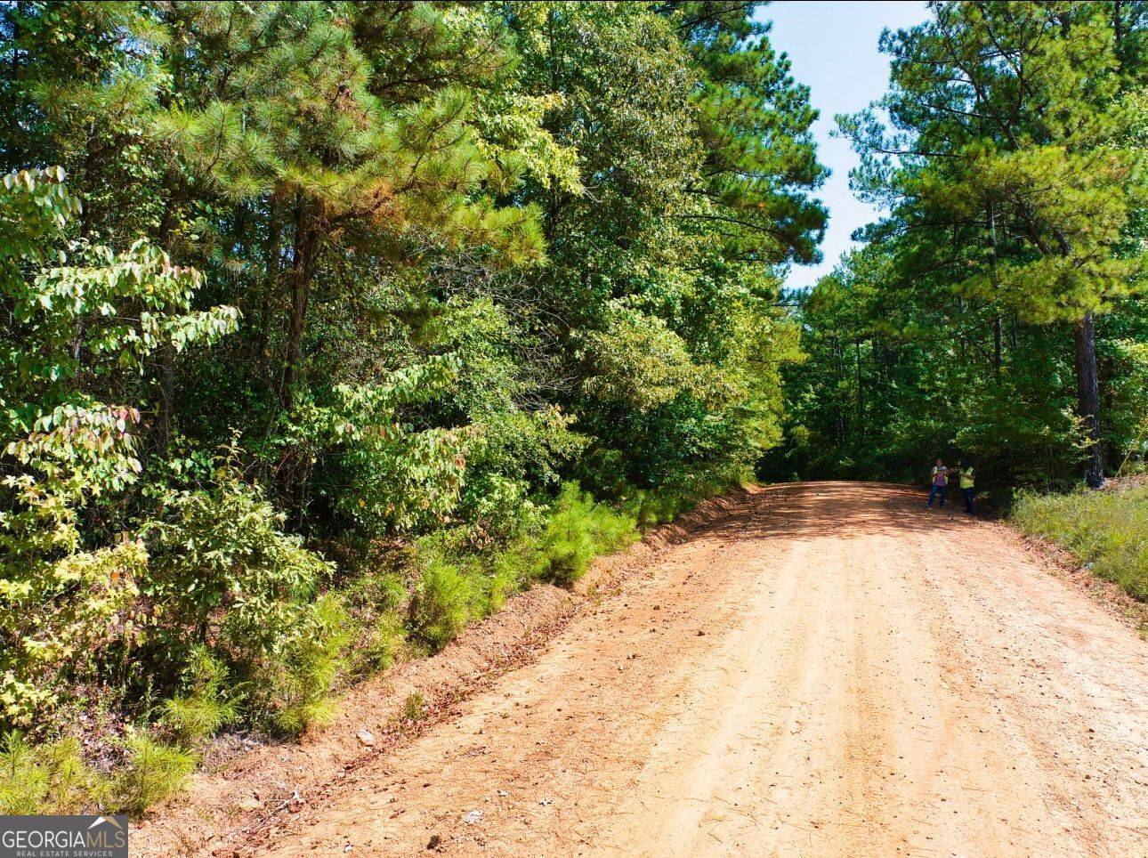 Culloden, GA 31016,TRACT1 US Highway 341 N