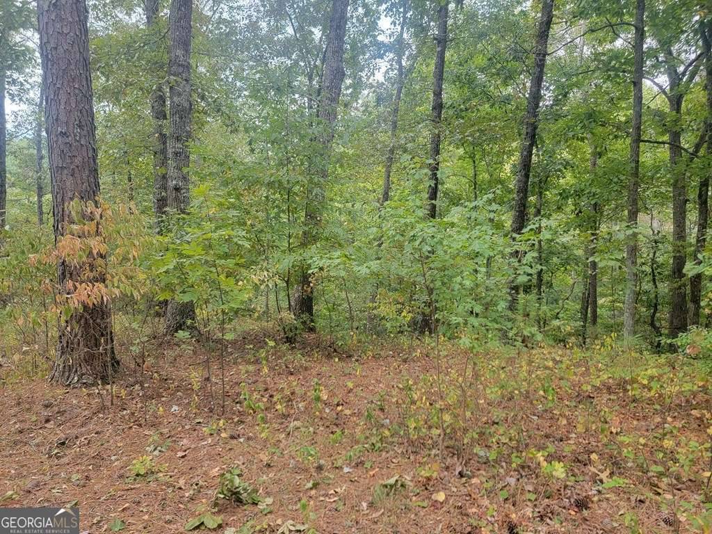 Ranger, GA 30734,929 Aurora LN