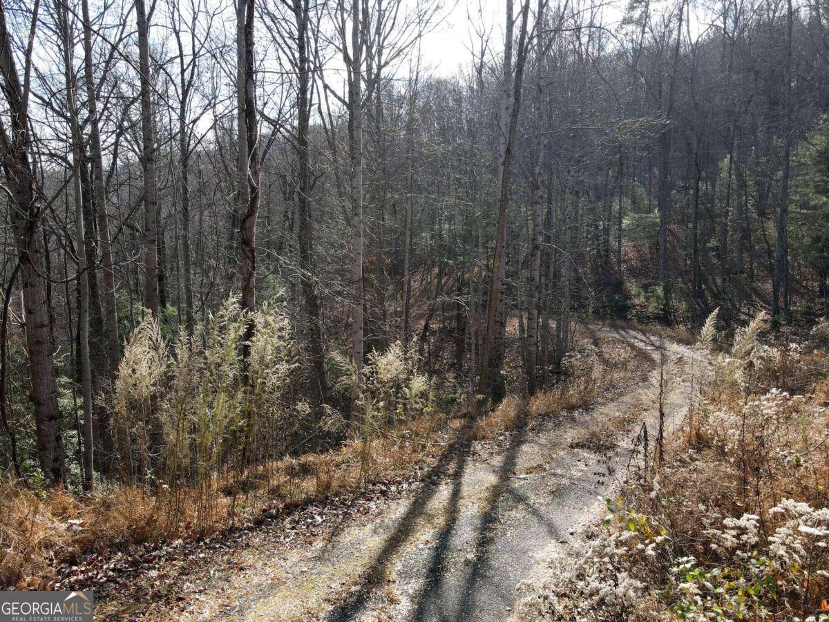 Blairsville, GA 30512,LOT 20 Settlers CV