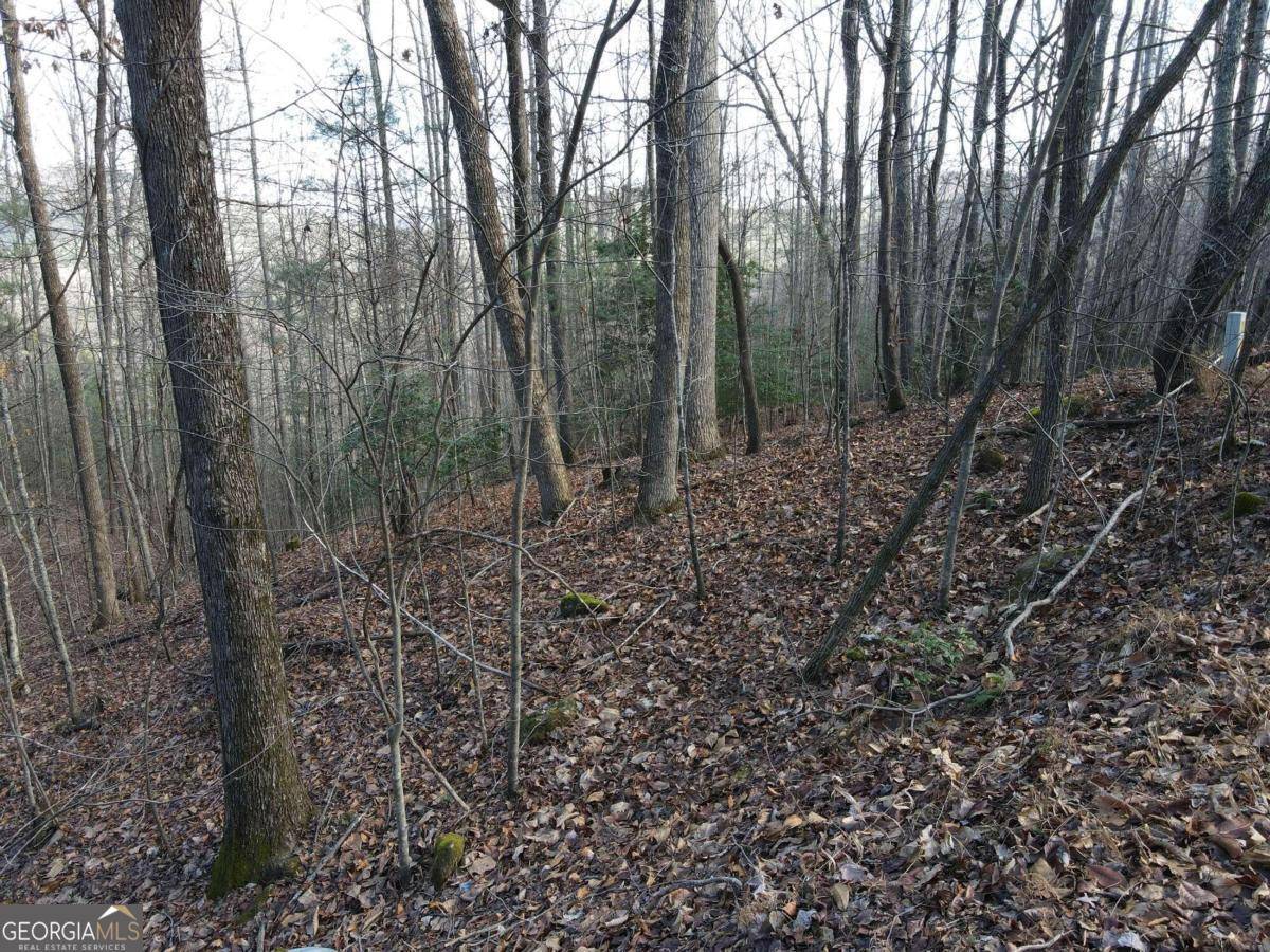 Blairsville, GA 30512,LOT 20 Settlers CV