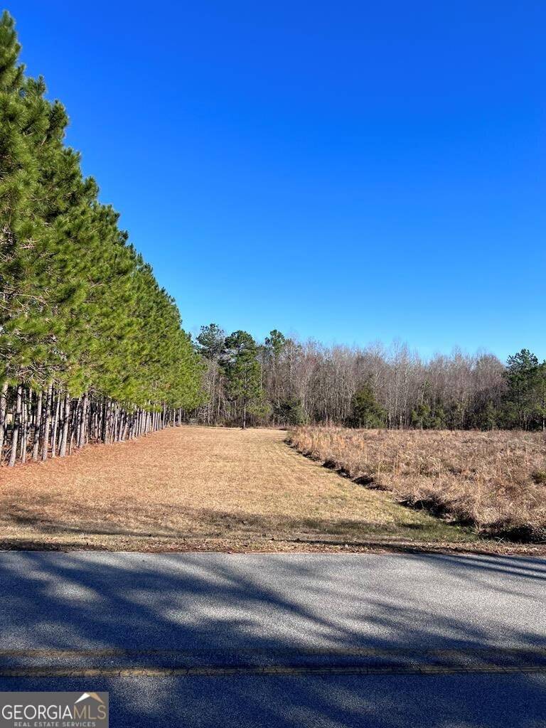 Mount Vernon, GA 30445,520 Limestone Lane tract#1