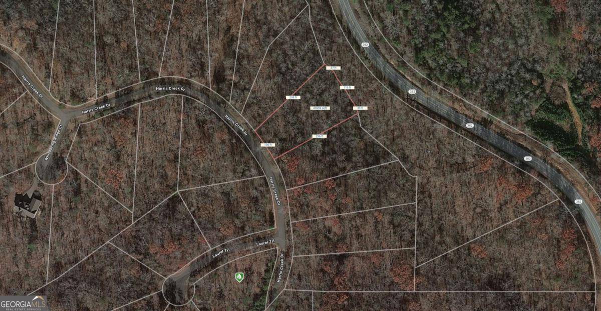 Ellijay, GA 30540,150 Harris Creek