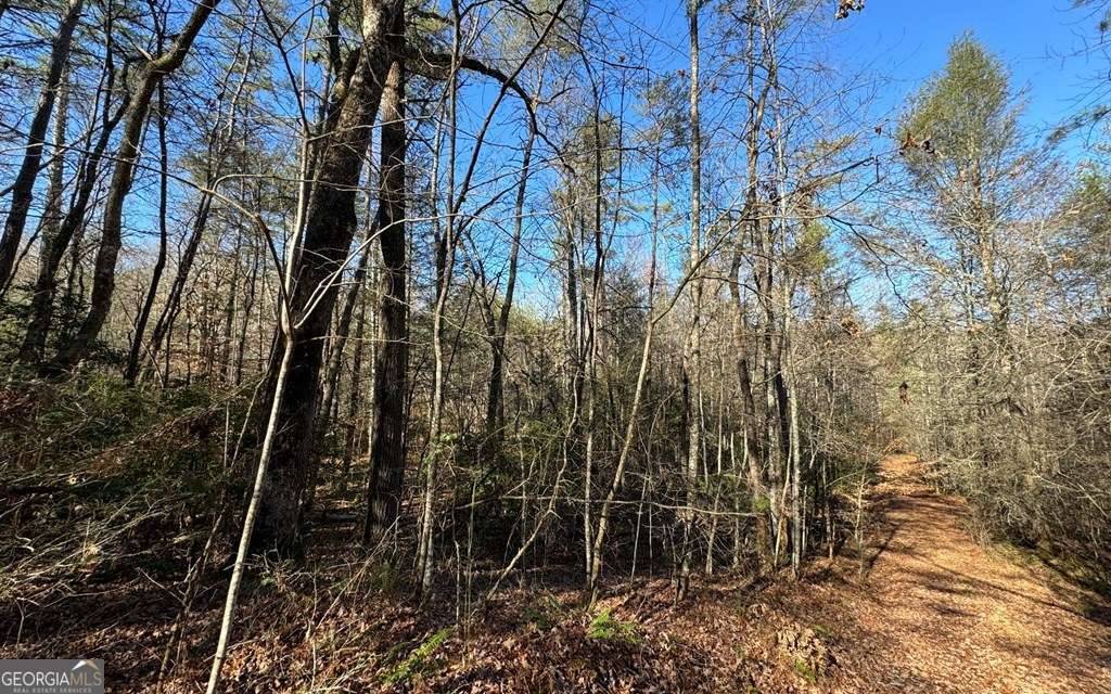 Blue Ridge, GA 30513,0 Mill Creek Acres
