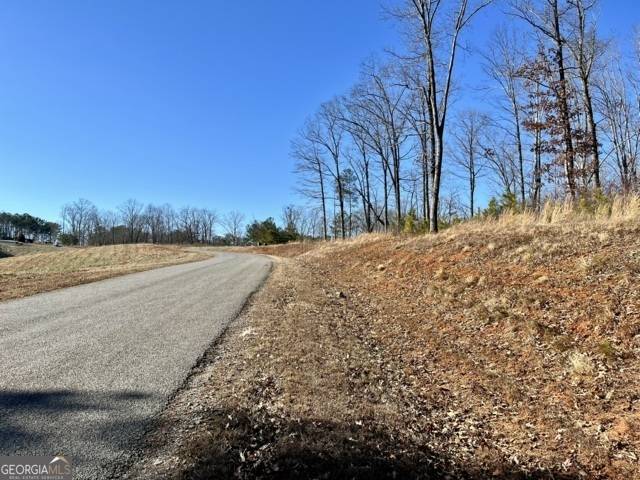 Ellijay, GA 30540,LOT 5 High River