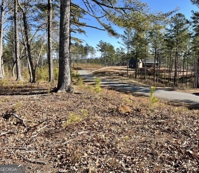 Ellijay, GA 30540,LOT 5 High River RD