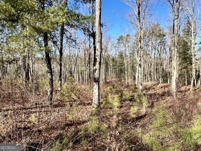 Ellijay, GA 30540,LOT 5 High River RD