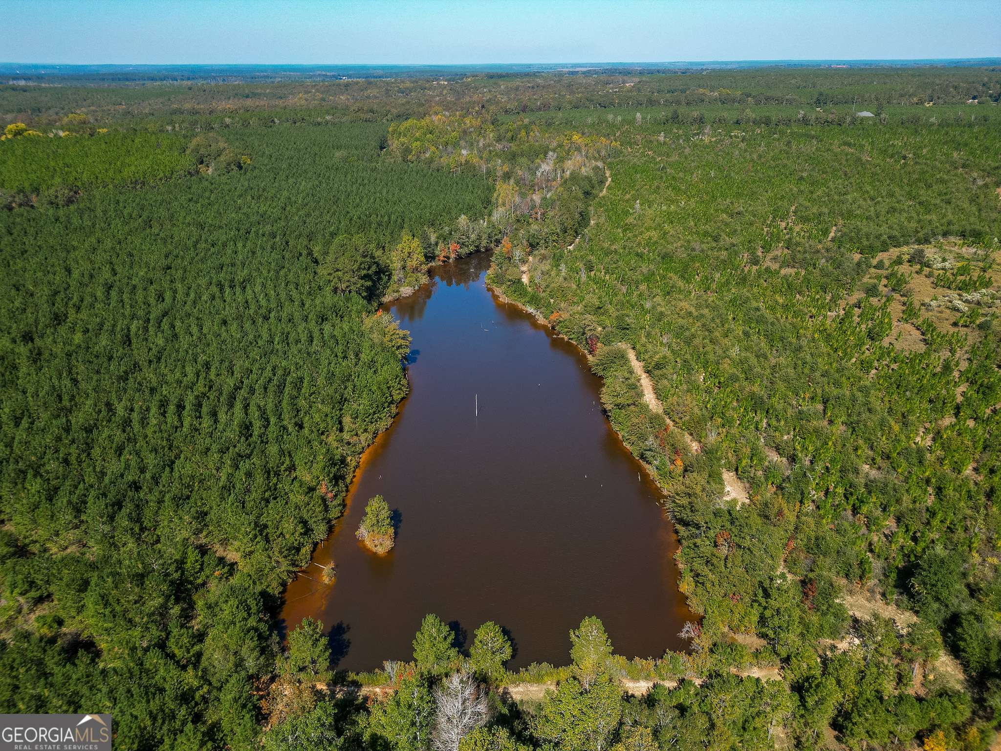 Americus, GA 31719,652 ACRES Ga Hwy 45 S