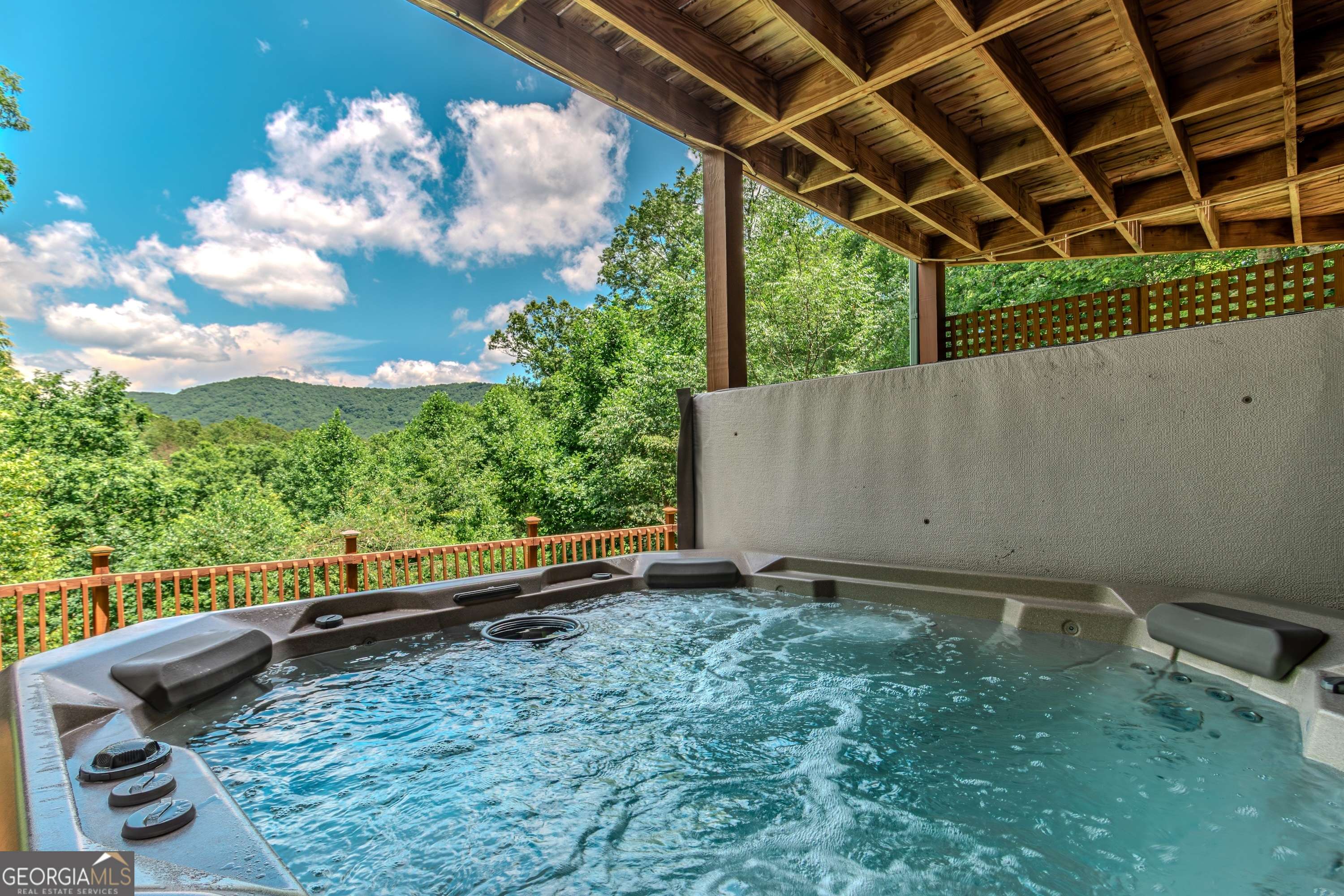 Mineral Bluff, GA 30559,1023 Knollwood RD