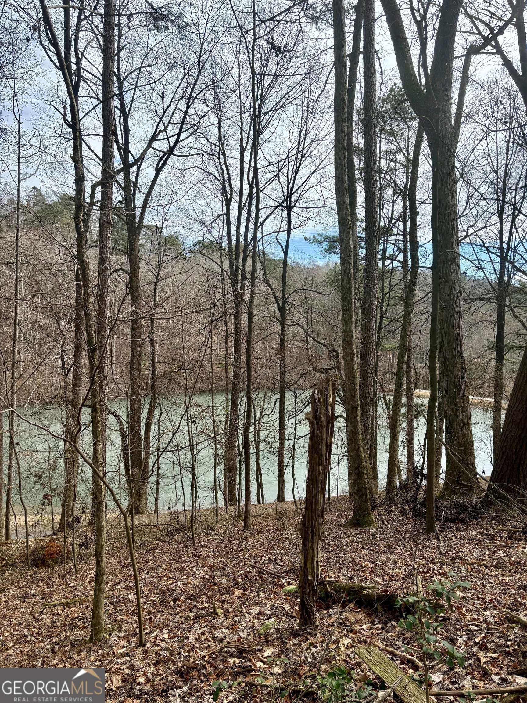 Ellijay, GA 30540,200 Timberwalk DR