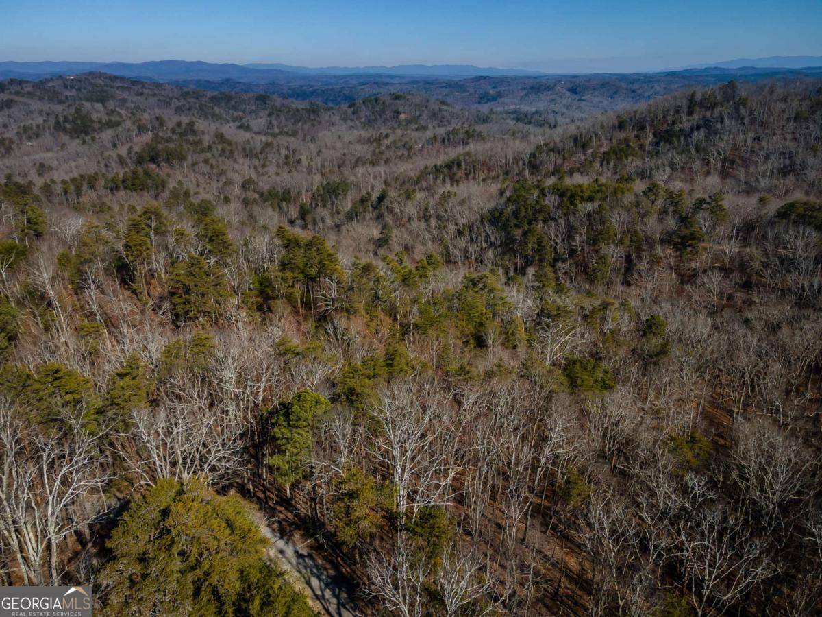 Ranger, GA 30734,4.78 AC Bell CT