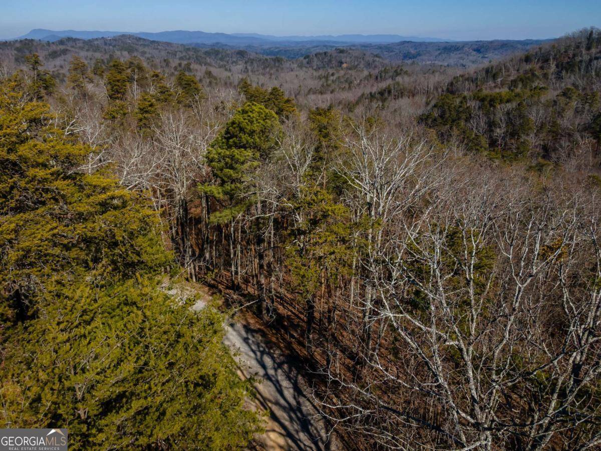 Ranger, GA 30701,4.78 AC Bell