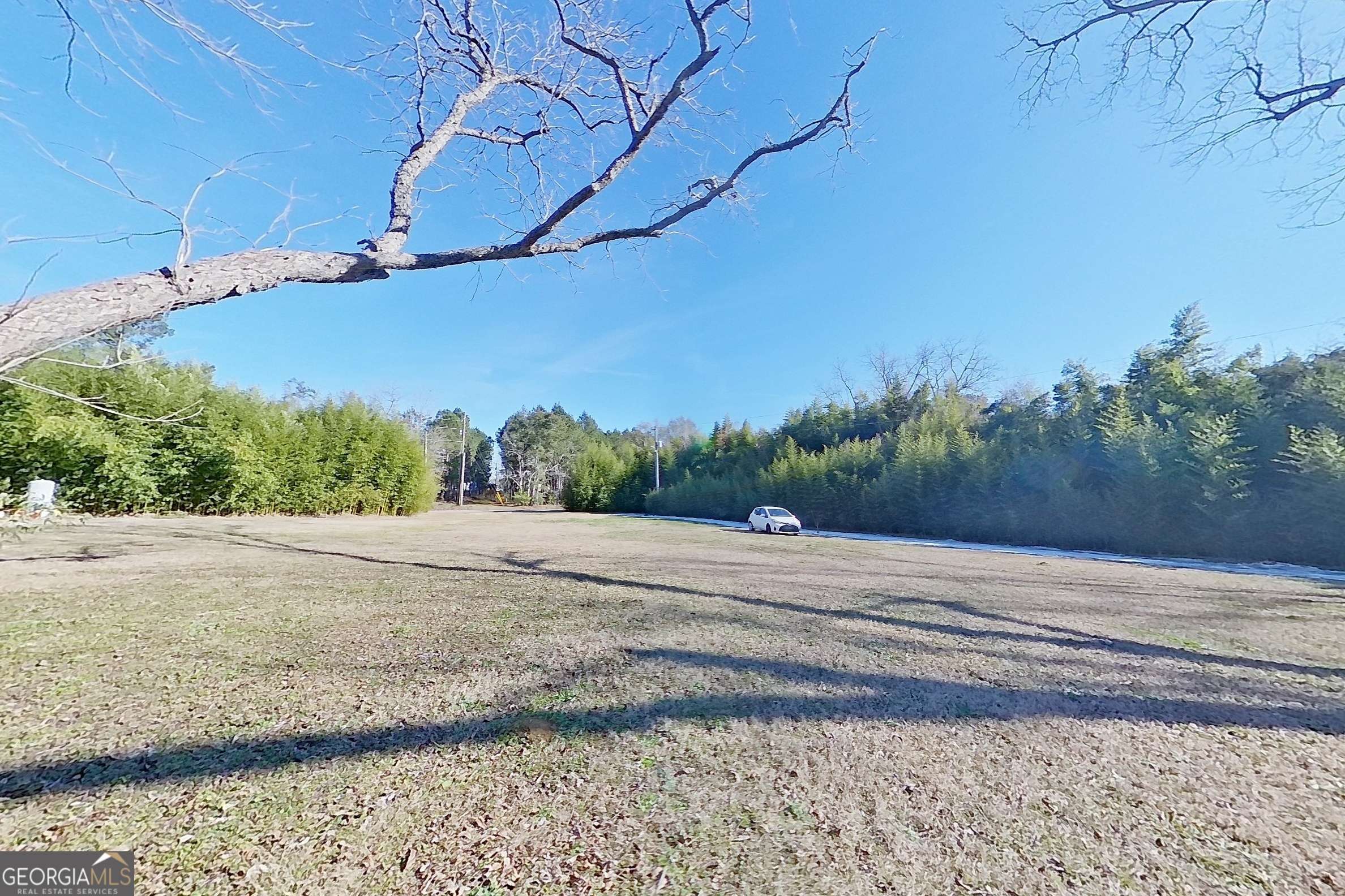 Meigs, GA 31765,2545 Stage Coach RD