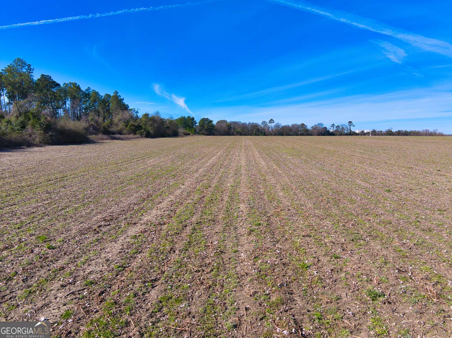 Cordele, GA 31015,0 Evergreen Church Road #C