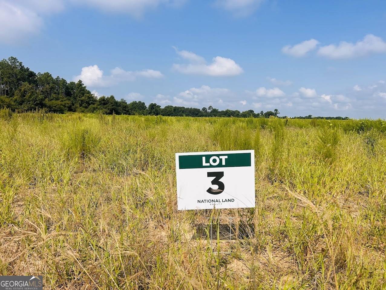 Cordele, GA 31015,0 Evergreen Church RD #3