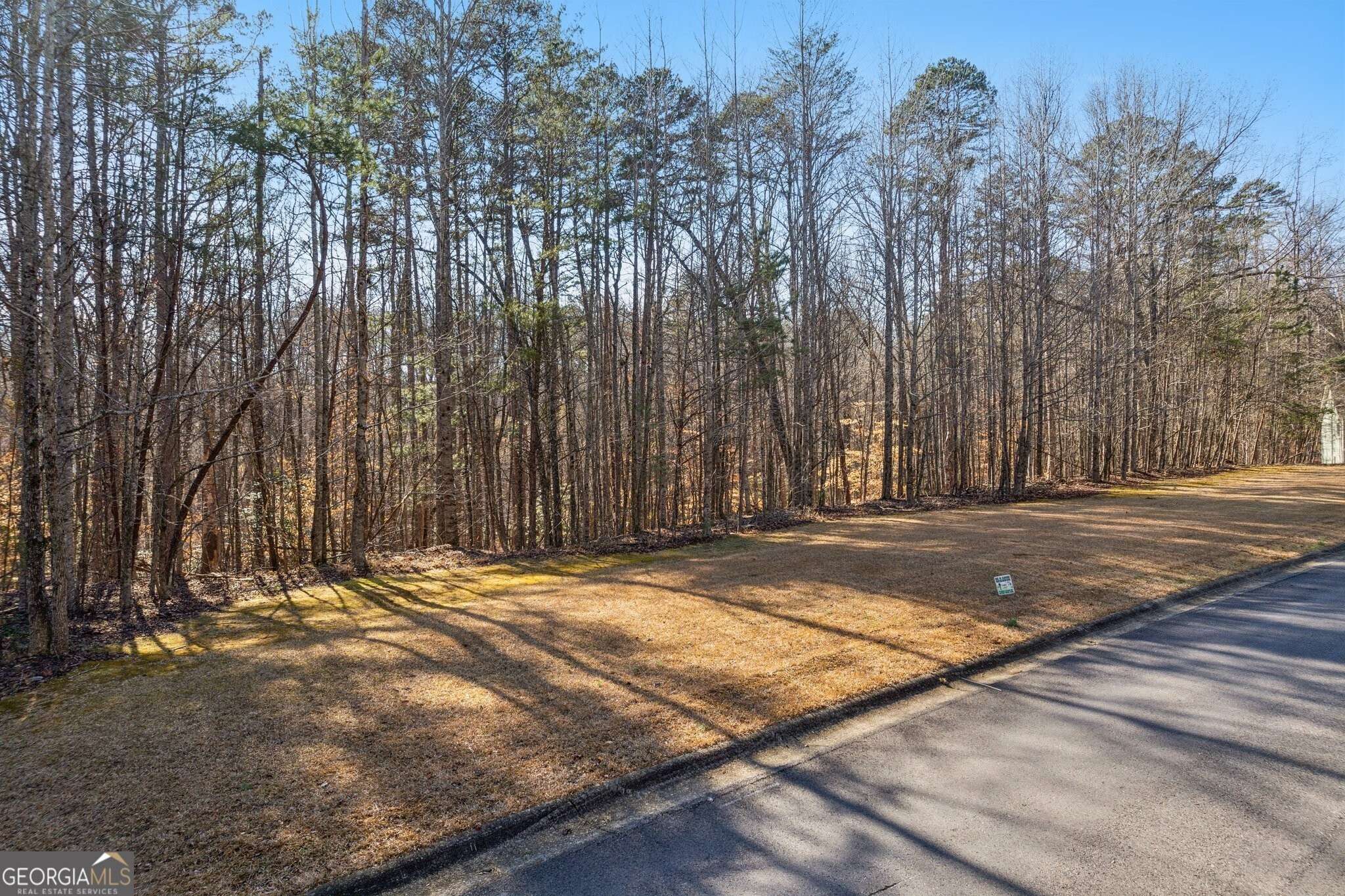 Dahlonega, GA 30533,0 Honey Tree TER