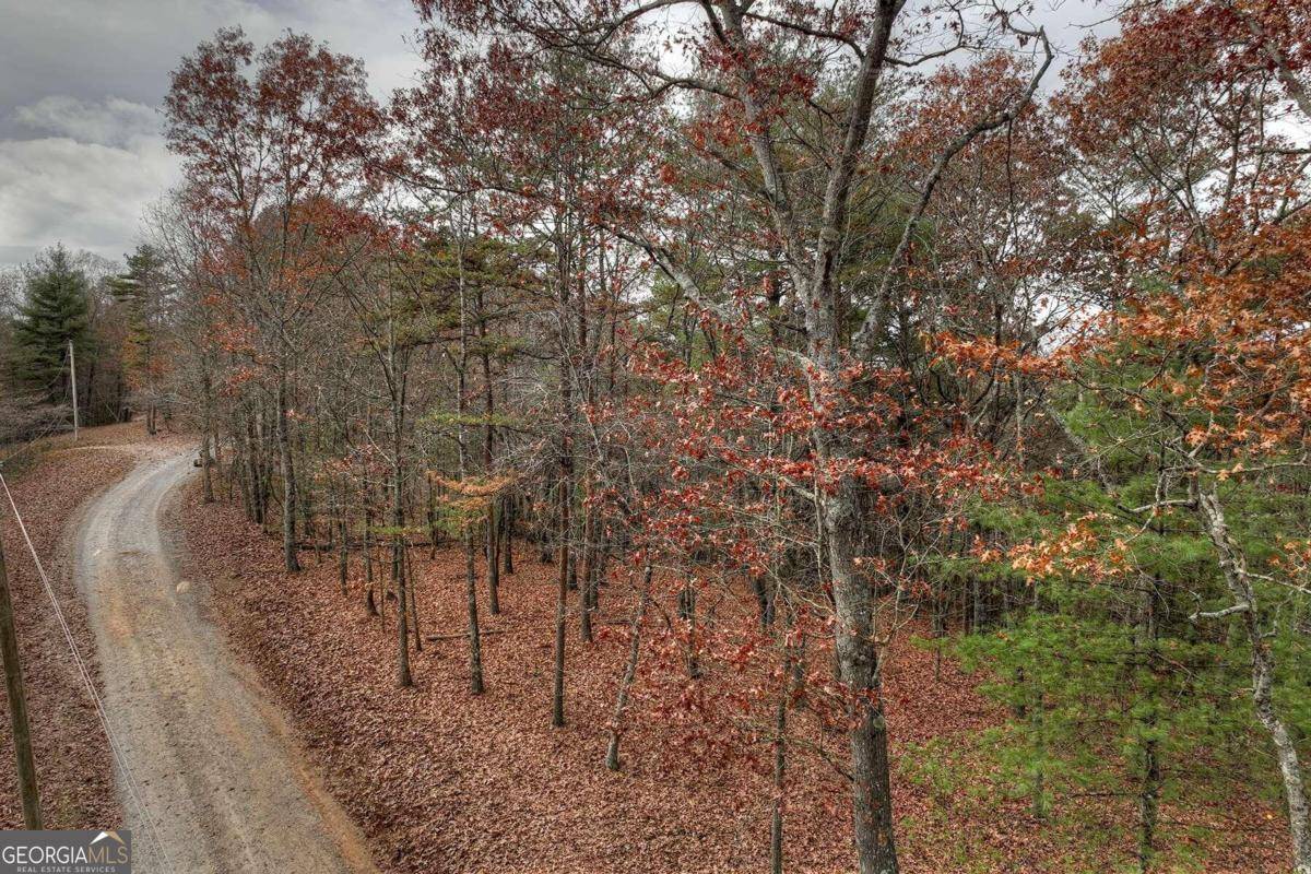 Mineral Bluff, GA 30559,2.88 Mountain Laurel DR