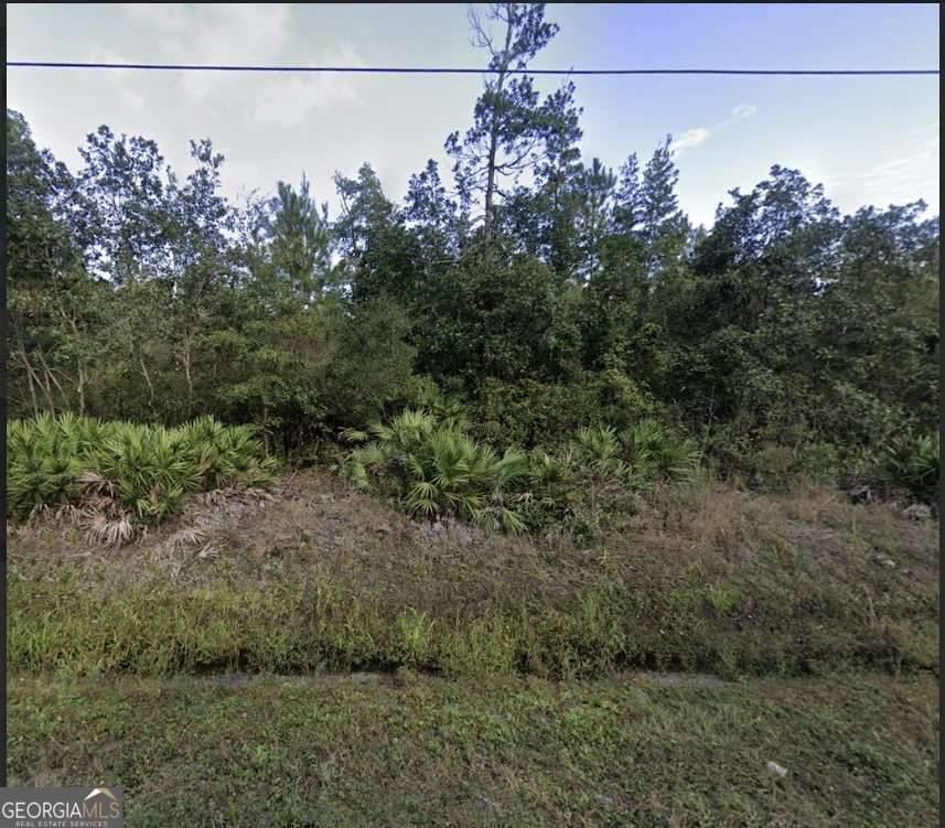 Brunswick, GA 31523,254 Live Oak LN
