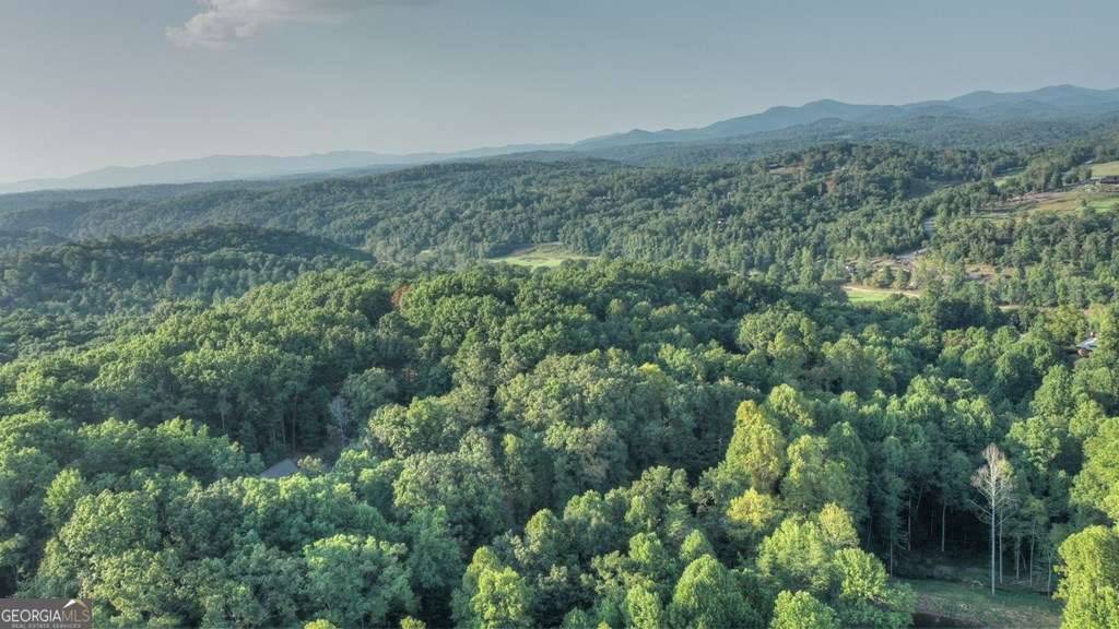 Blue Ridge, GA 30513,LOT 51 River Ridge