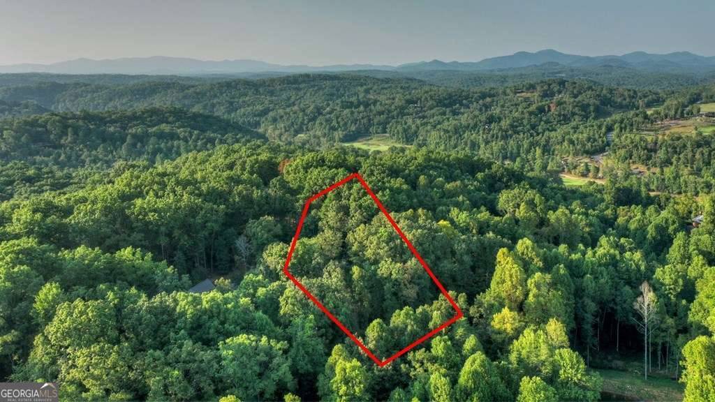 Blue Ridge, GA 30513,LOT 51 River Ridge