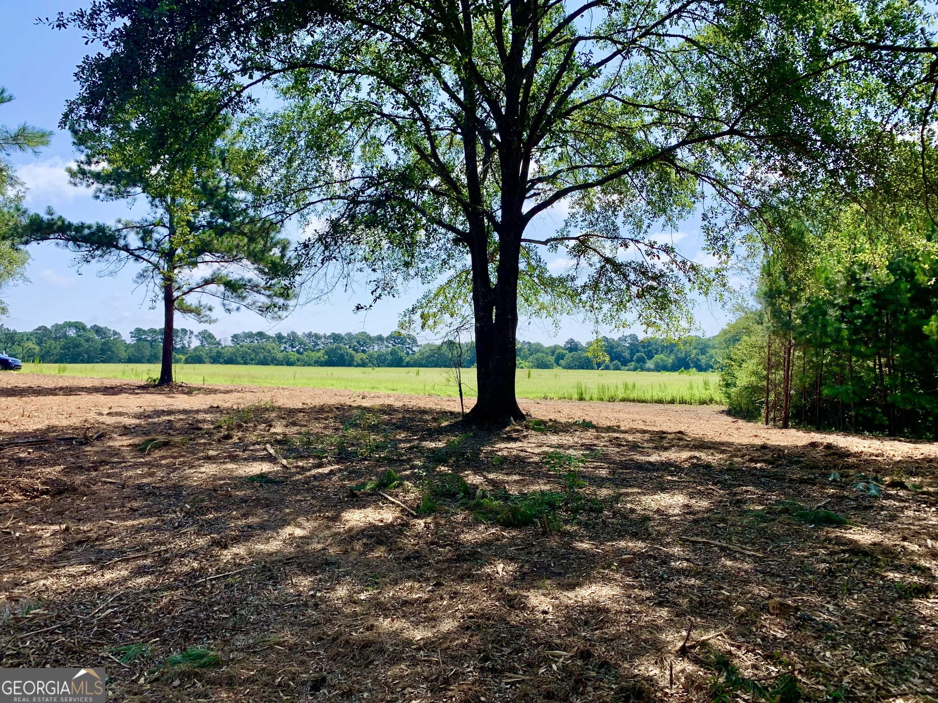Griffin, GA 30223,0 Hamil Road