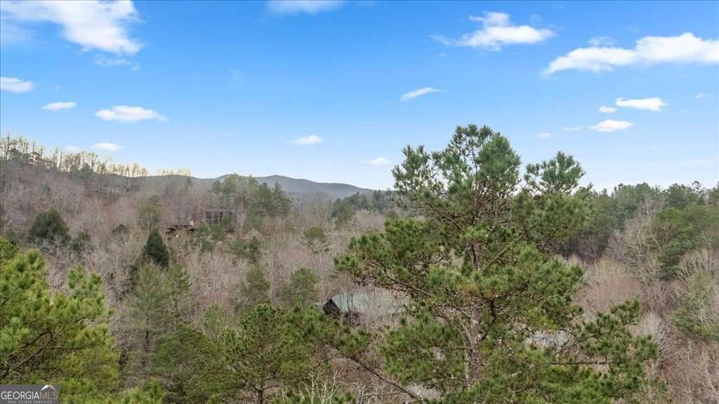 Blue Ridge, GA 30513,26 Chickasaw