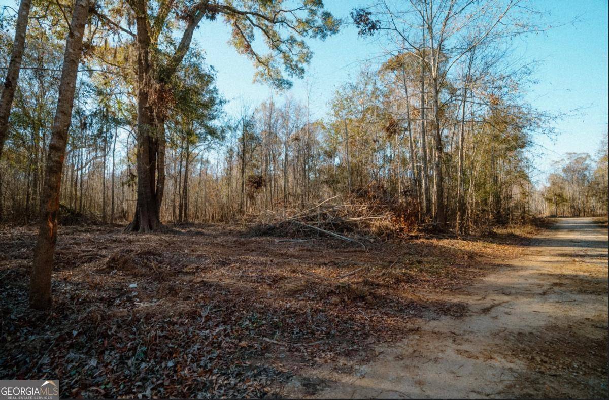 Surrency, GA 31563,0 River Dale - Getaway #LOT19