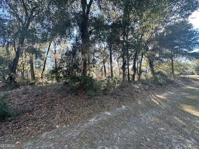 Waverly, GA 31565,V/L 276 Harbour Island CIR