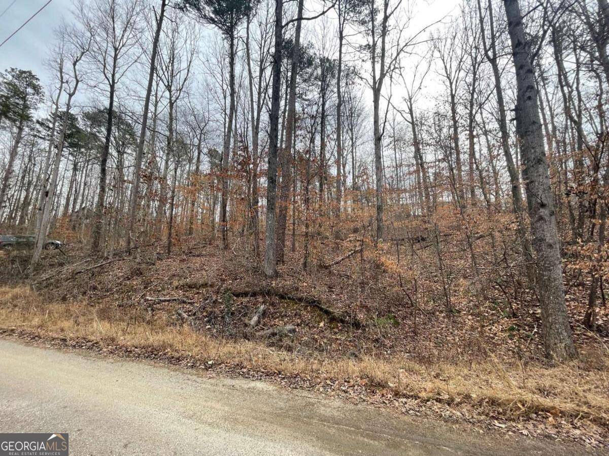Martin, GA 30557,18 S Buckskin TRL