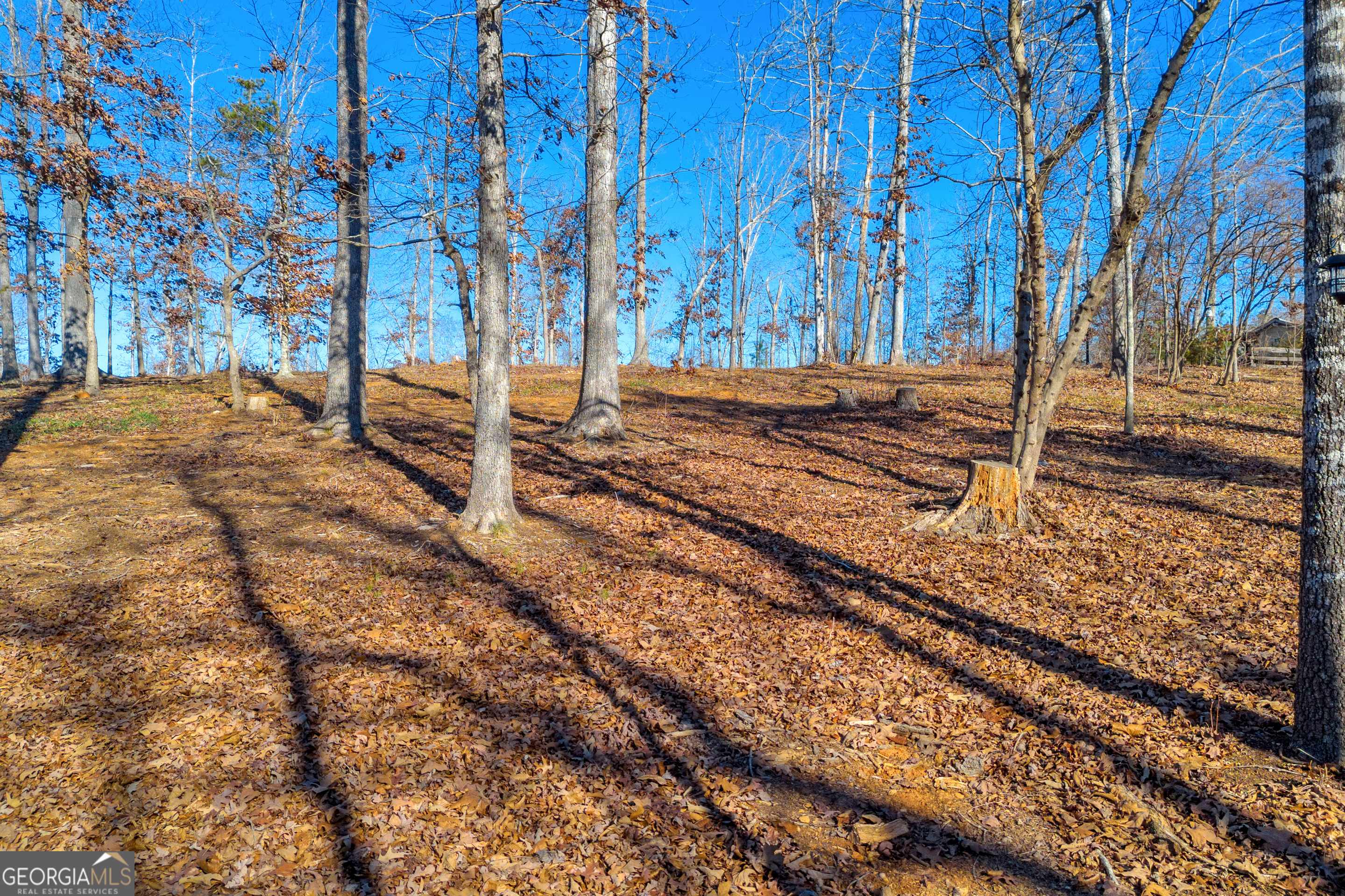Martin, GA 30557,LOT 9 Jenkins Ferry RD