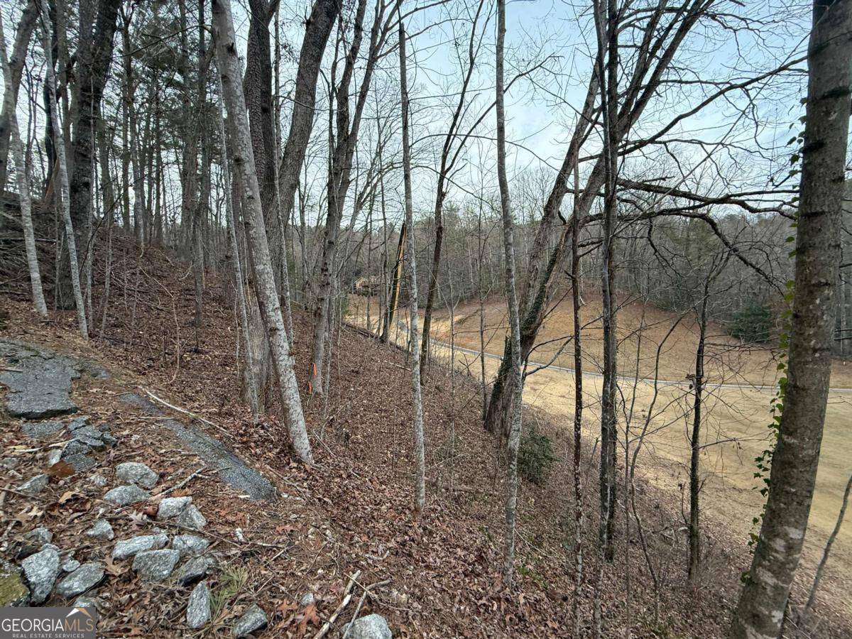 Clayton, GA 30525,LOT 100 Kingwood CT