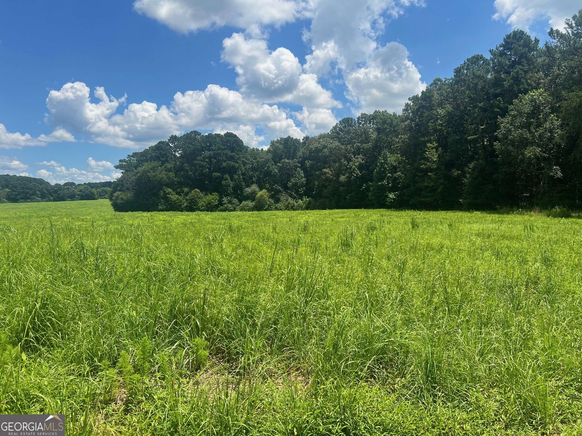 Calhoun, GA 30701,LOT 2 Lovebridge RD