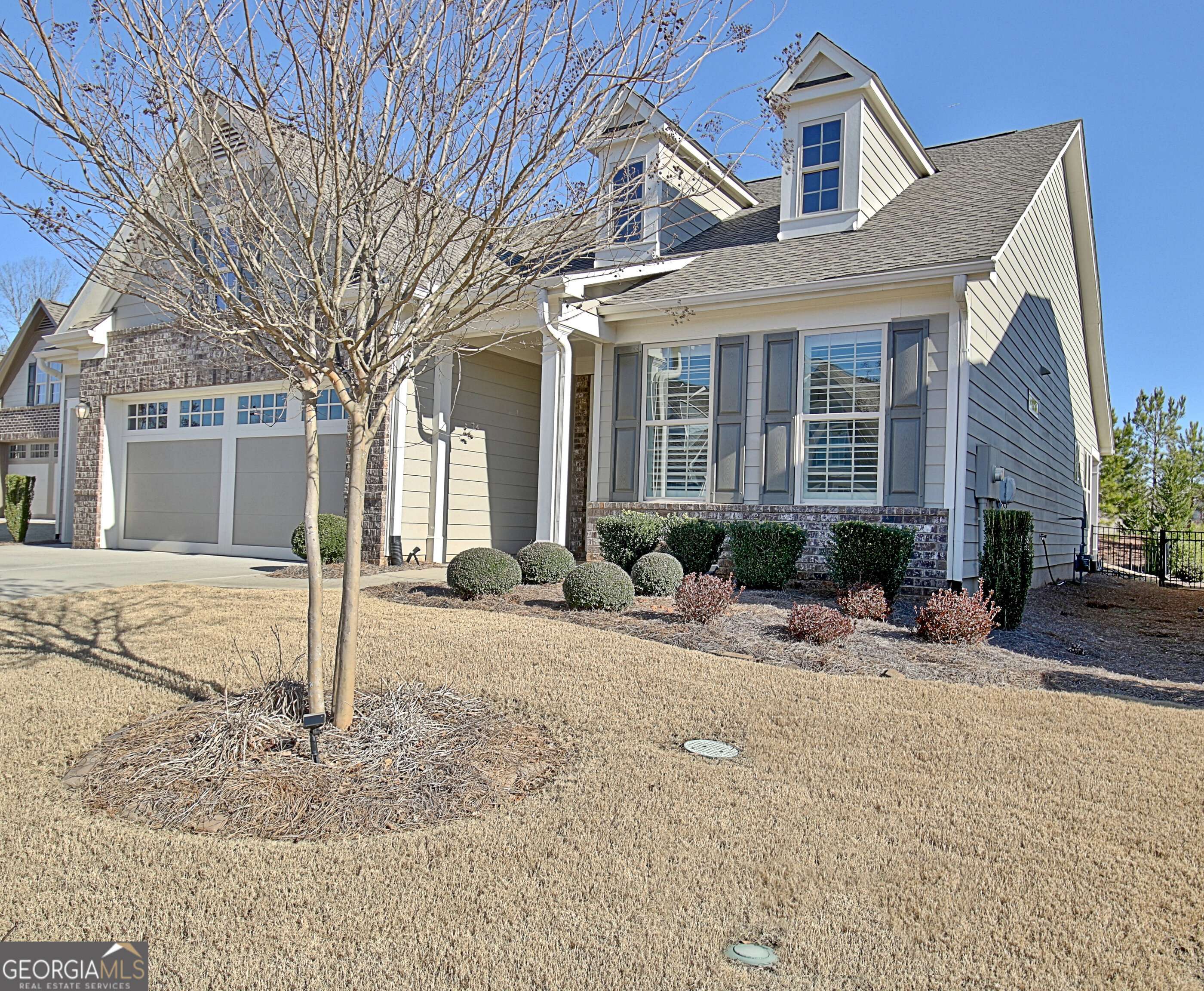 Peachtree City, GA 30269,256 Silver Maple