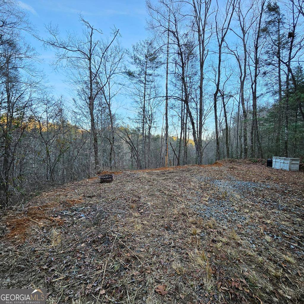 Ellijay, GA 30540,3409 Flagpole RD