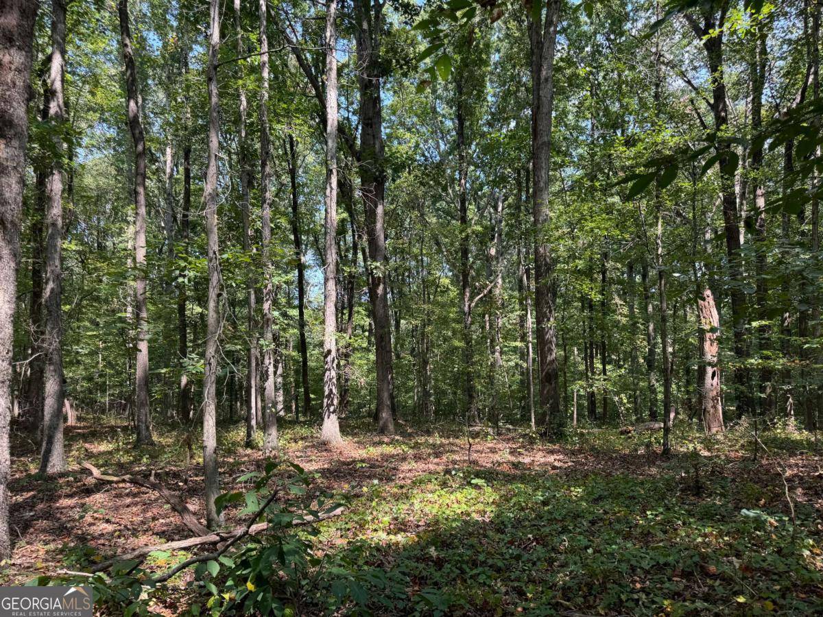 Canton, GA 30115,348 A Pat Rich DR