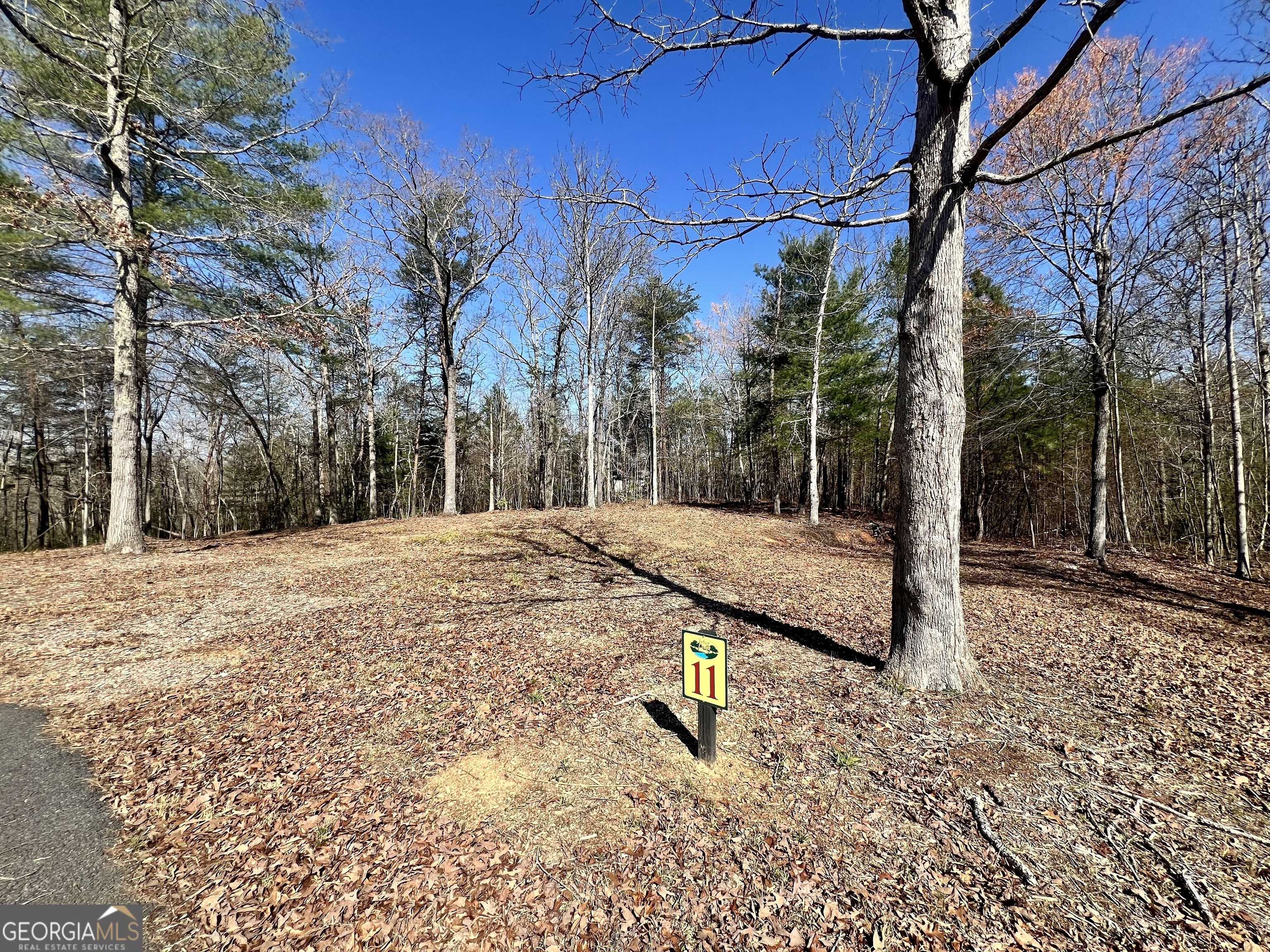 Mineral Bluff, GA 30559,11 Arbor Creek