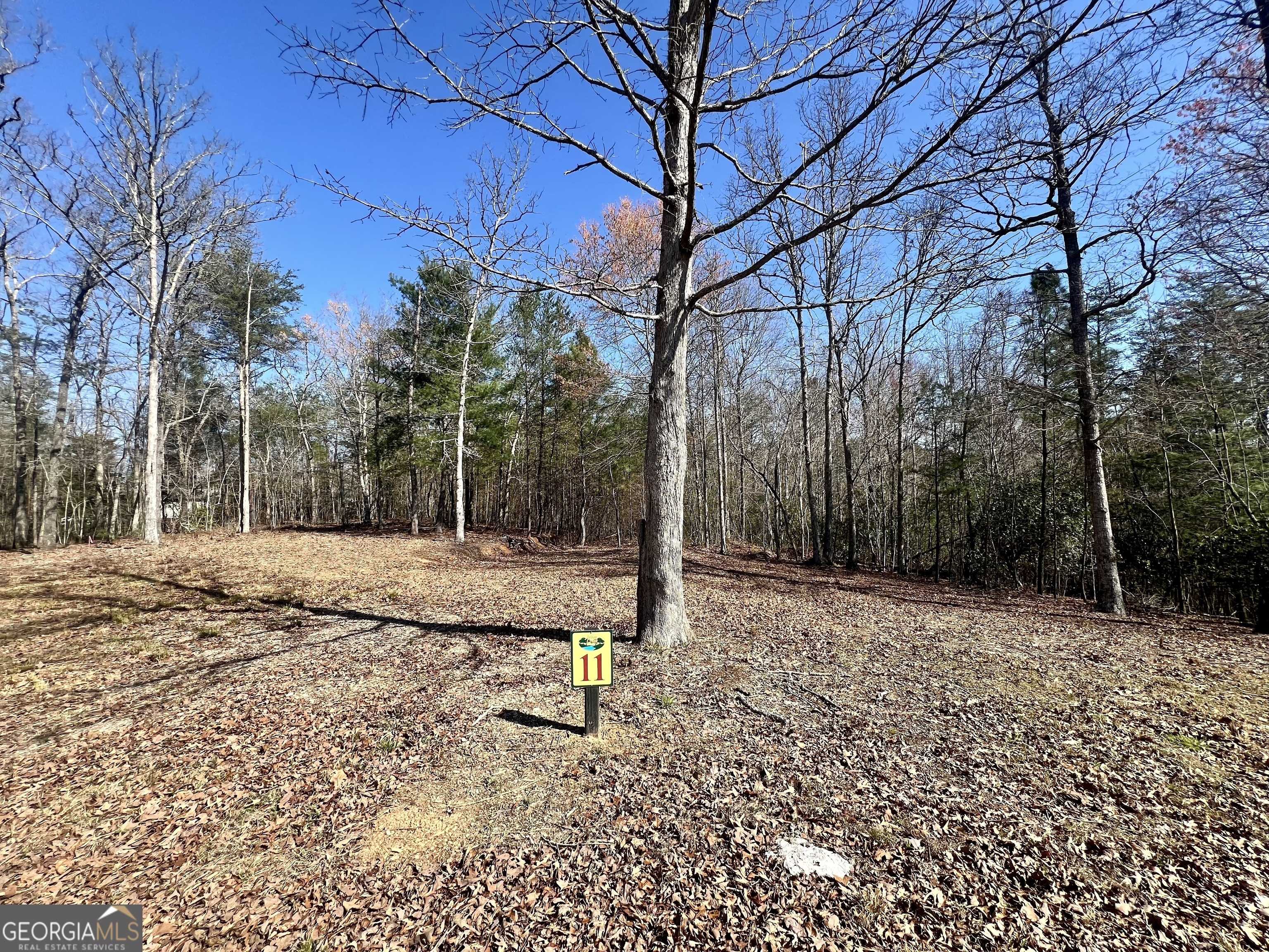 Mineral Bluff, GA 30559,11 Arbor Creek TRL