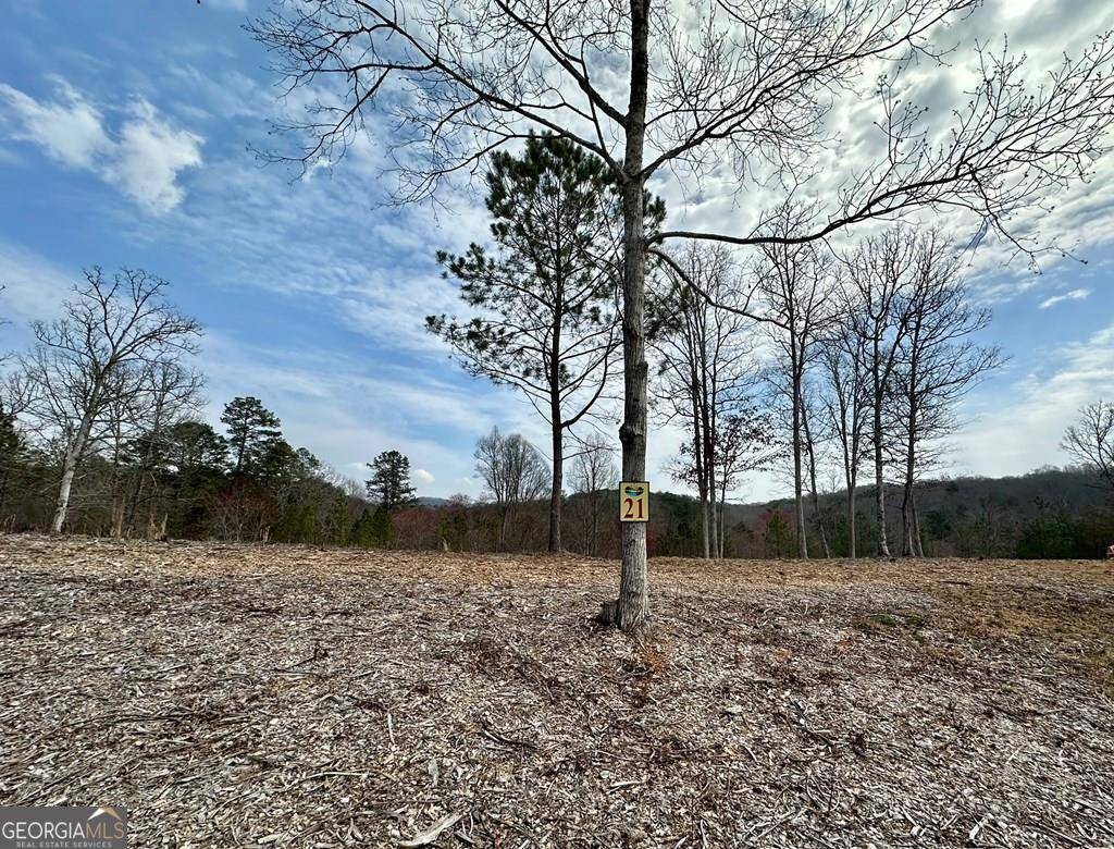 Mineral Bluff, GA 30559,21 Arbor Creek