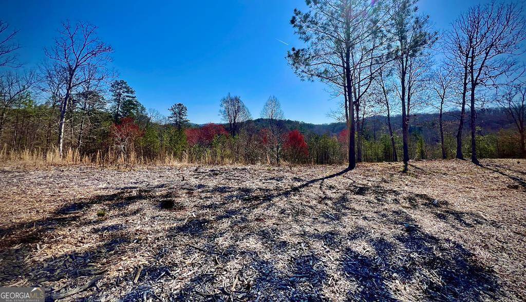 Mineral Bluff, GA 30559,21 Arbor Creek TRL