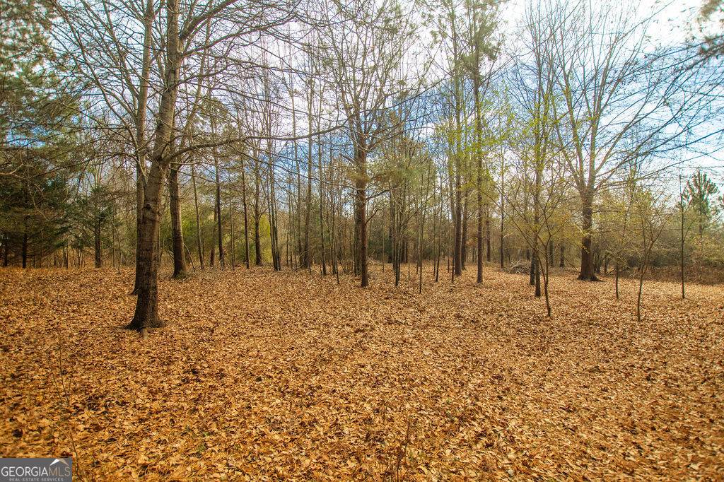 Social Circle, GA 30025,TRACT 1 Sandy Ford RD