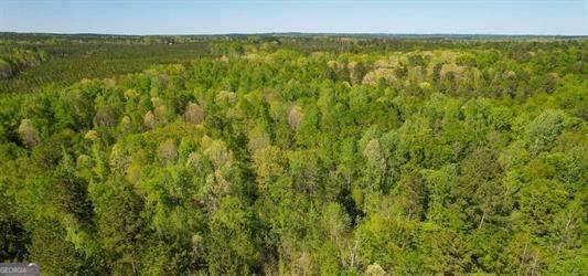 Eatonton, GA 31024,LOT 1 Old Copelan RD