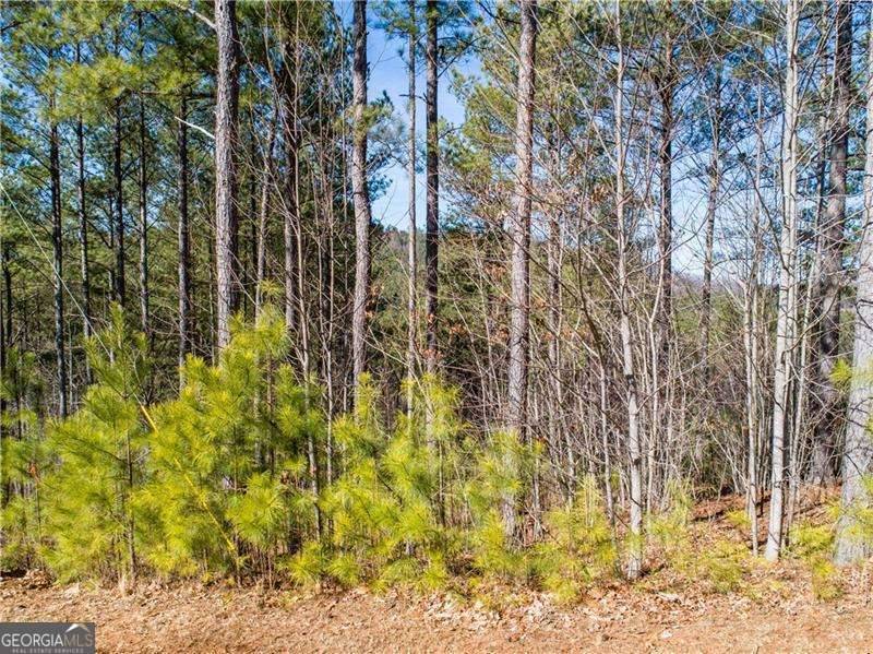 Blairsville, GA 30512,LT 74 Ridge Crest