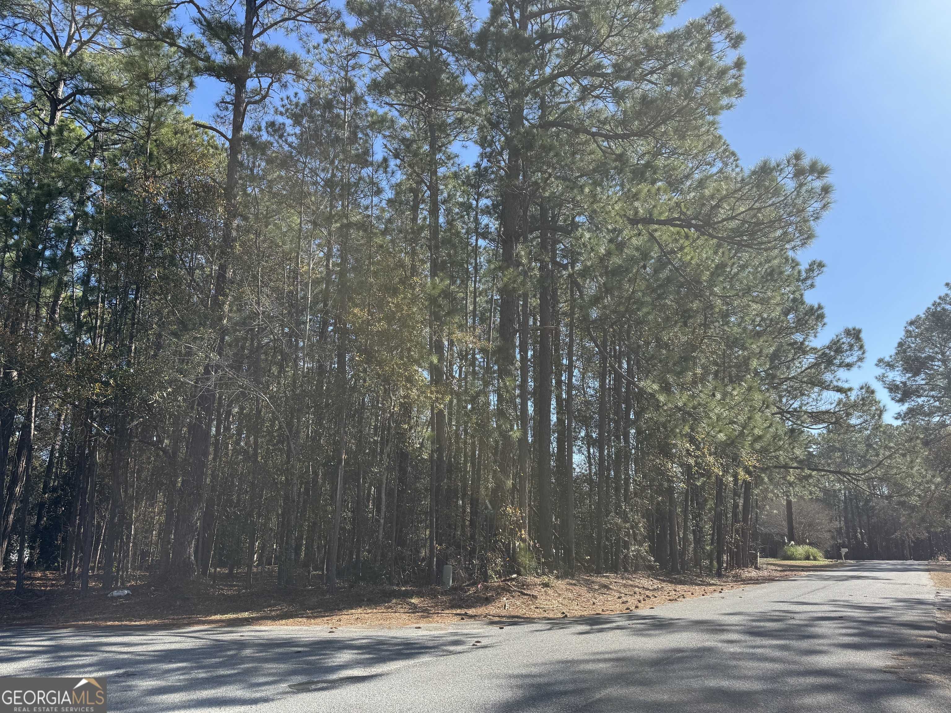 Eastman, GA 31023,36 Amanda DR