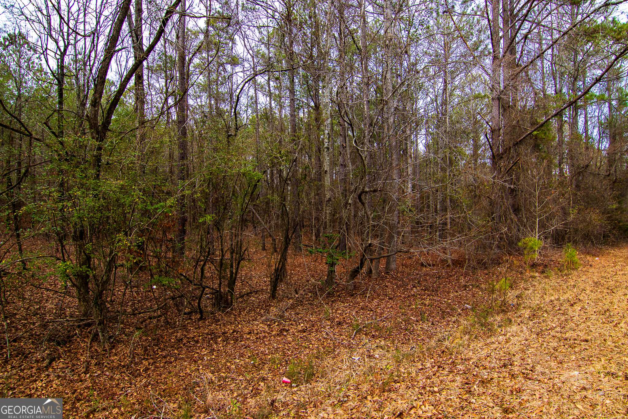 Pine Mountain, GA 31822,0 Flat Shoals Church RD