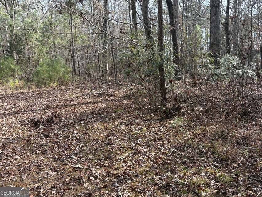 Lincolnton, GA 30817,LOT 15 Indian Cove