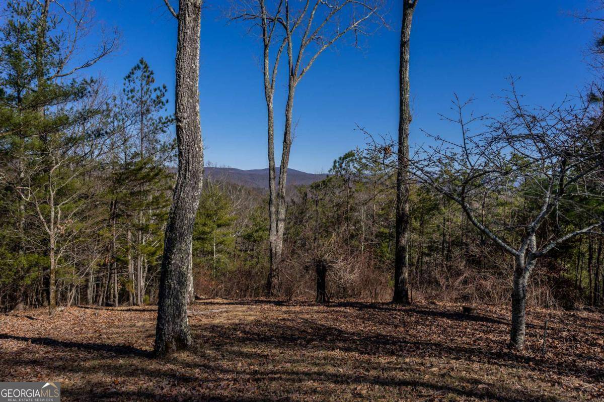 Talking Rock, GA 30175,934 Greystone RD